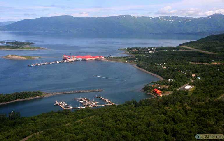 Larsen Bay 